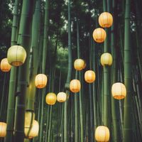 Policy - Tâm Tư Trong Đêm