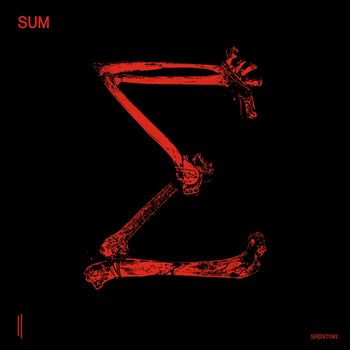Various Artists - SUM 10