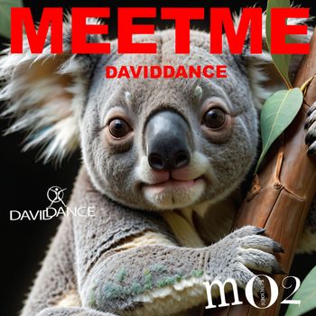 Daviddance - Meetme