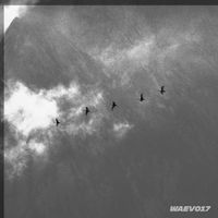 Fearful - WAEV017