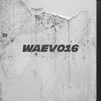GLM - WAEV016