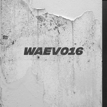 GLM - WAEV016