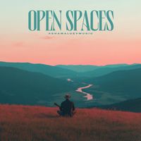 AShamaluevMusic - Open Spaces