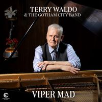 Terry Waldo - Viper Mad