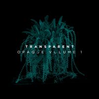 Transparent - Opaque, Vol. 1