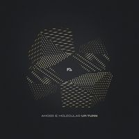 Amoss, Molecular - UR Turn