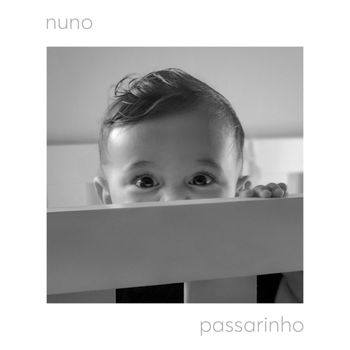 Nuno - Passarinho
