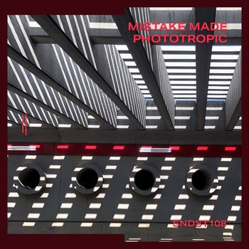 Mistake Made - Phototropic