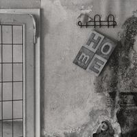 Meso - Hinter Augen und Wohnungstüren