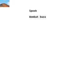 Spook - Wombat bass