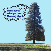 Peter Davison - Think About What You Are Thinking About