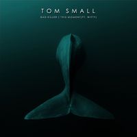 Tom Small - Bad Killer / This Moment