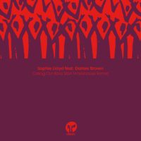 Sophie Lloyd featuring Dames Brown - Calling Out (Riva Starr Warehouse Remix)