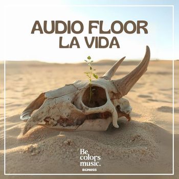 Audio Floor - LA VIDA