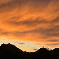 Cole - Mountain Range