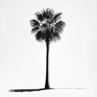 Berlin - Mulholland