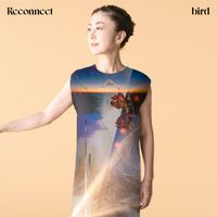 bird feat. Schadaraparr - Sense & Humor