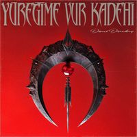 Demir Demirkan - Yüreğime Vur Kadehi
