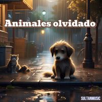 Sultan - Animales Olvidados