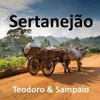 Teodoro E Sampaio - Sertanejão