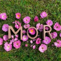 Aterciopelados - MOR