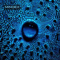 Mindex - Fluidity