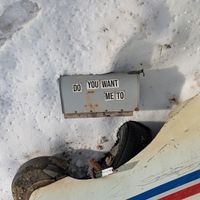 Postman - Do You Want Me To