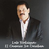 Lalo Rodriguez - El Canario De Carolina (En Vivo)