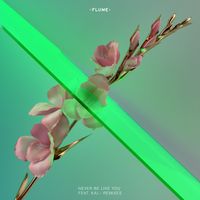 Flume feat. Kai - Never Be Like You (Remixes) (Explicit)