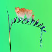 Flume - Skin Companion EP I