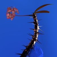 Flume feat. KUČKA - Hyperreal
