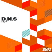 D.N.S - Risk