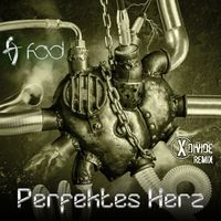 F.O.D. - Perfektes Herz (X-Divide Remix)