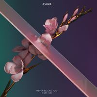 Flume feat. Kai - Never Be Like You (Explicit)