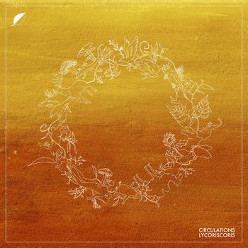 Lycoriscoris - Circulations