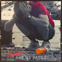 Ironic - Not my fault (Explicit)