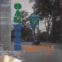Ironic - Oakwood Freestyle (Explicit)
