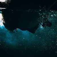 Rsk - AXTI (Explicit)