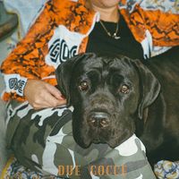 PRISCILLA - DUE GOCCE