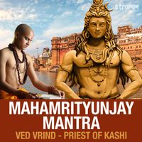 Ved Vrind - Mahamrityunjay Mantra 108 times