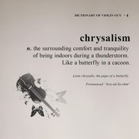 Violin Guy - chrysalism