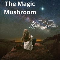 The Magic Mushroom - Night Dream