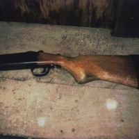 Bughouse - three songs (Explicit)