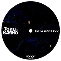Tony Di Sarno - I Still Want You