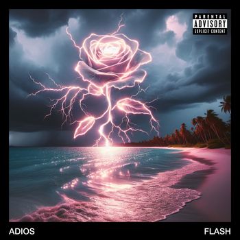 Flash - Adios