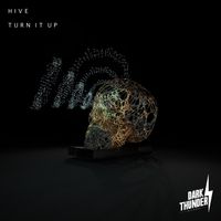 HIVE - Turn it Up
