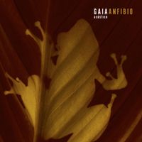 GAIA - Anfibio (Acústico)