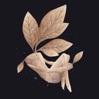 Lisandro Aristimuño - Constelaciones