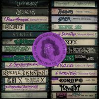 The Virginia Valley - Remixes from the Valley, Vol. 1