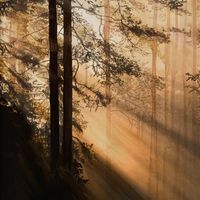 Kaya Project - All The Broken Souls (The Ambient Chill Edit)